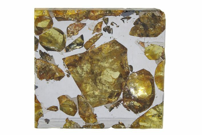 Brahin Pallasite Meteorite ( g) Slice - Belarus #351944